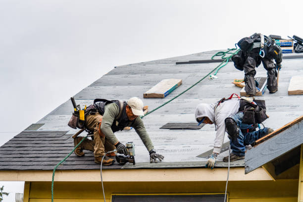 Professional Storm Damage Roof Repair technician working in Frenchburg, KY